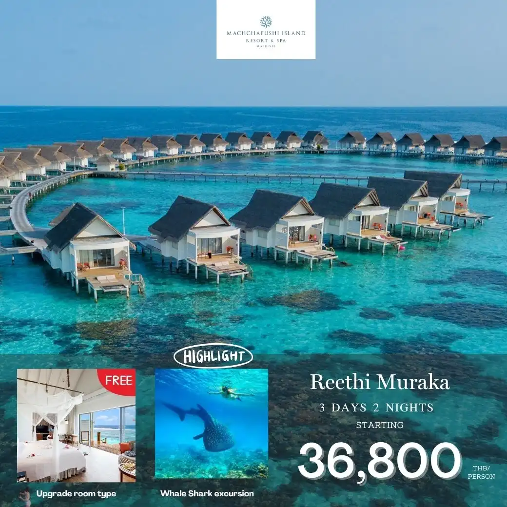 แพ็กเกจมัลดีฟส์ MACHCHAFUSHI MALDIVES 3วัน 2คืน