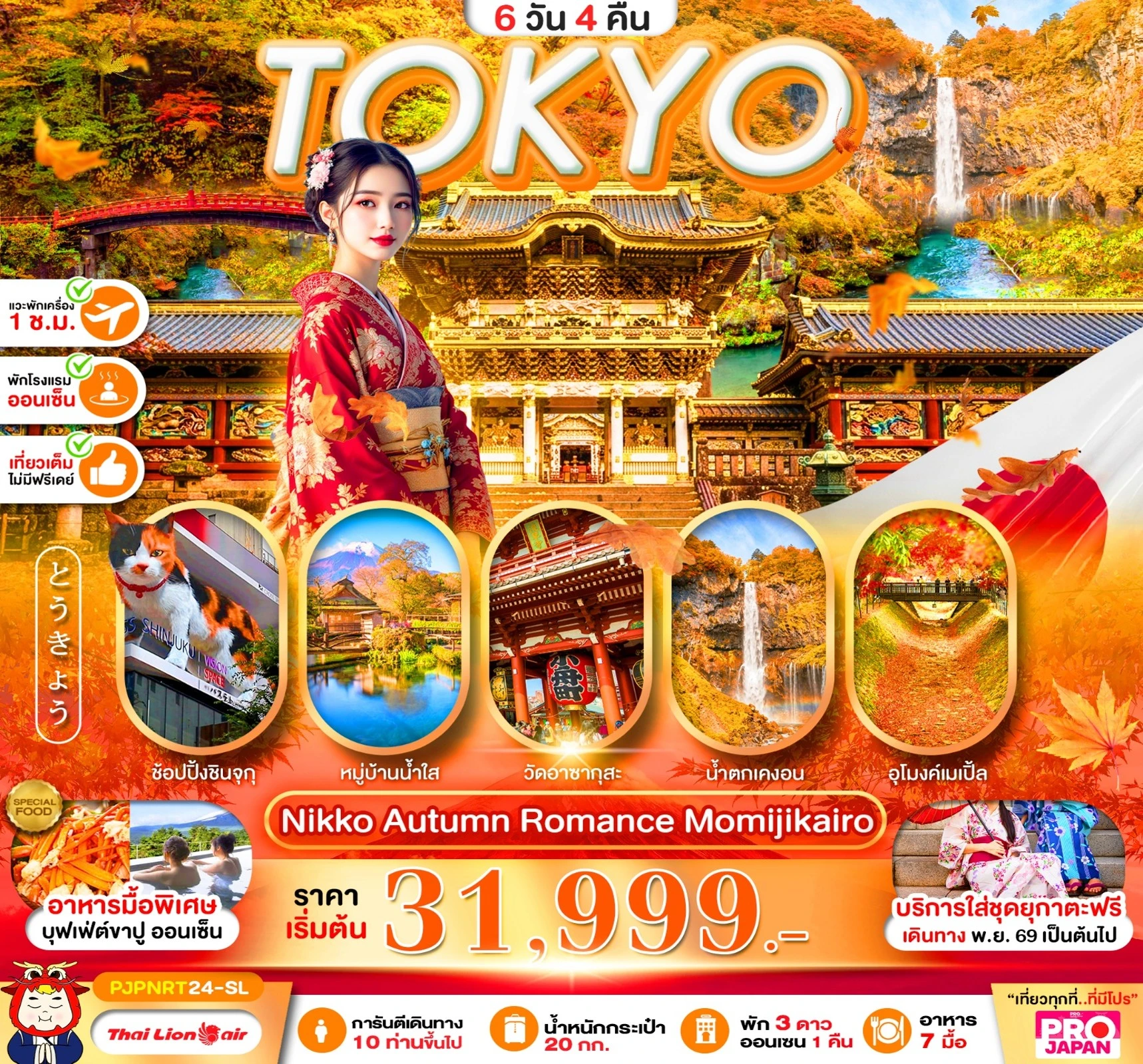 ทัวร์ญี่ปุ่น PRO TOKYO NIKKO AUTUMN ROMANCE MOMIJIKAIRO FULL DAY 6วัน 4คืน (SL)